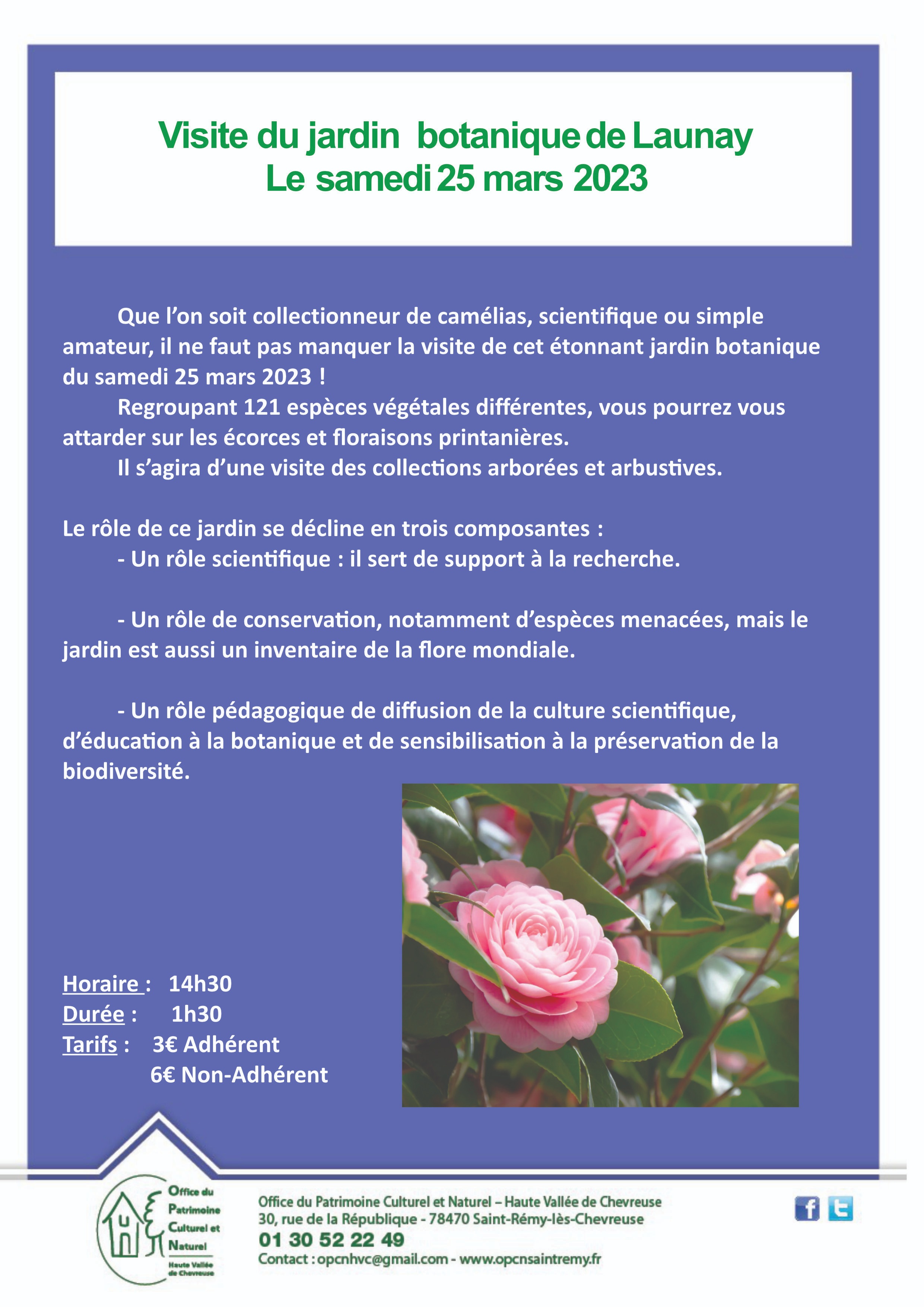 imageonline co compressed 18