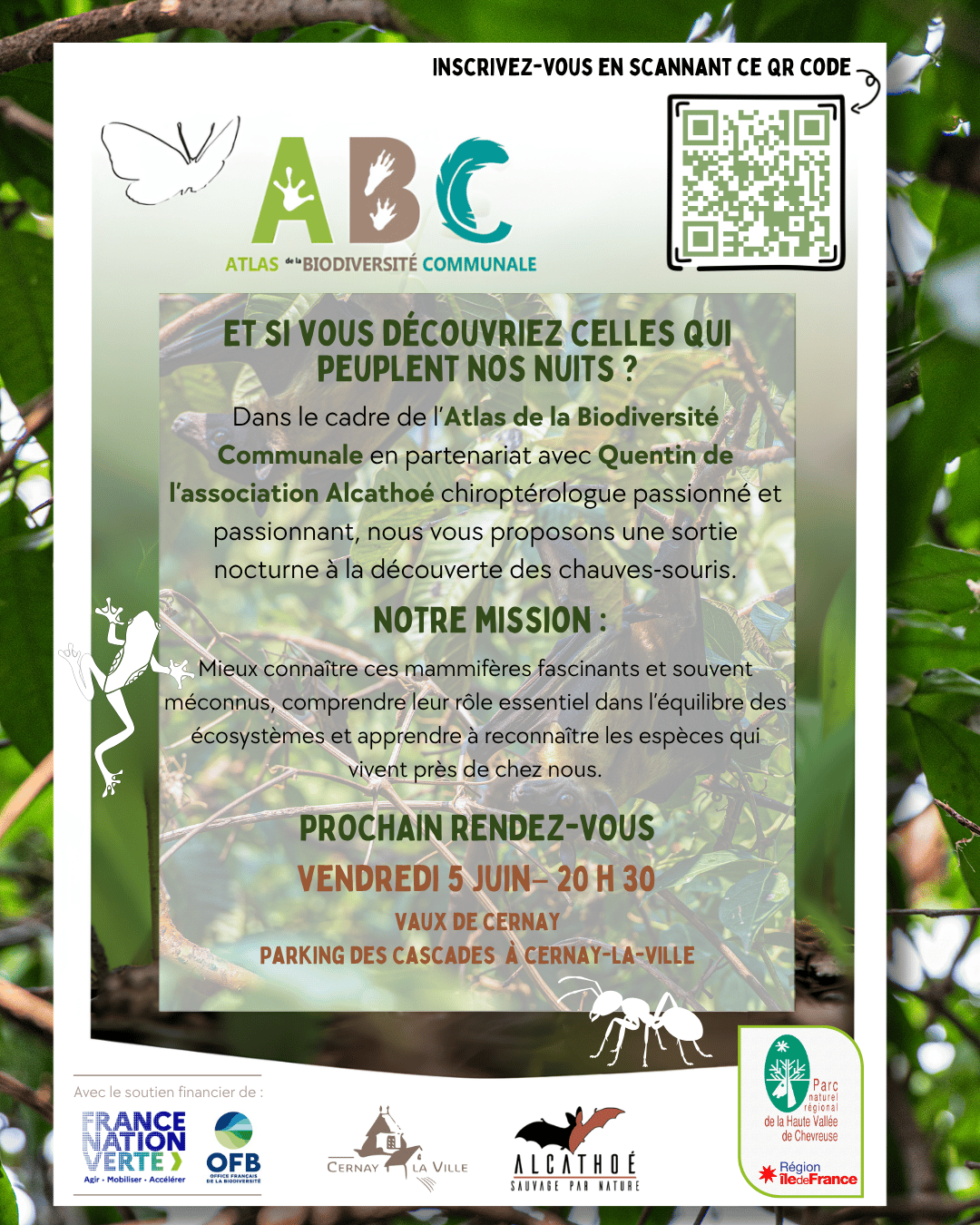 5 juin Sortie Nocturne Chauve Sourie