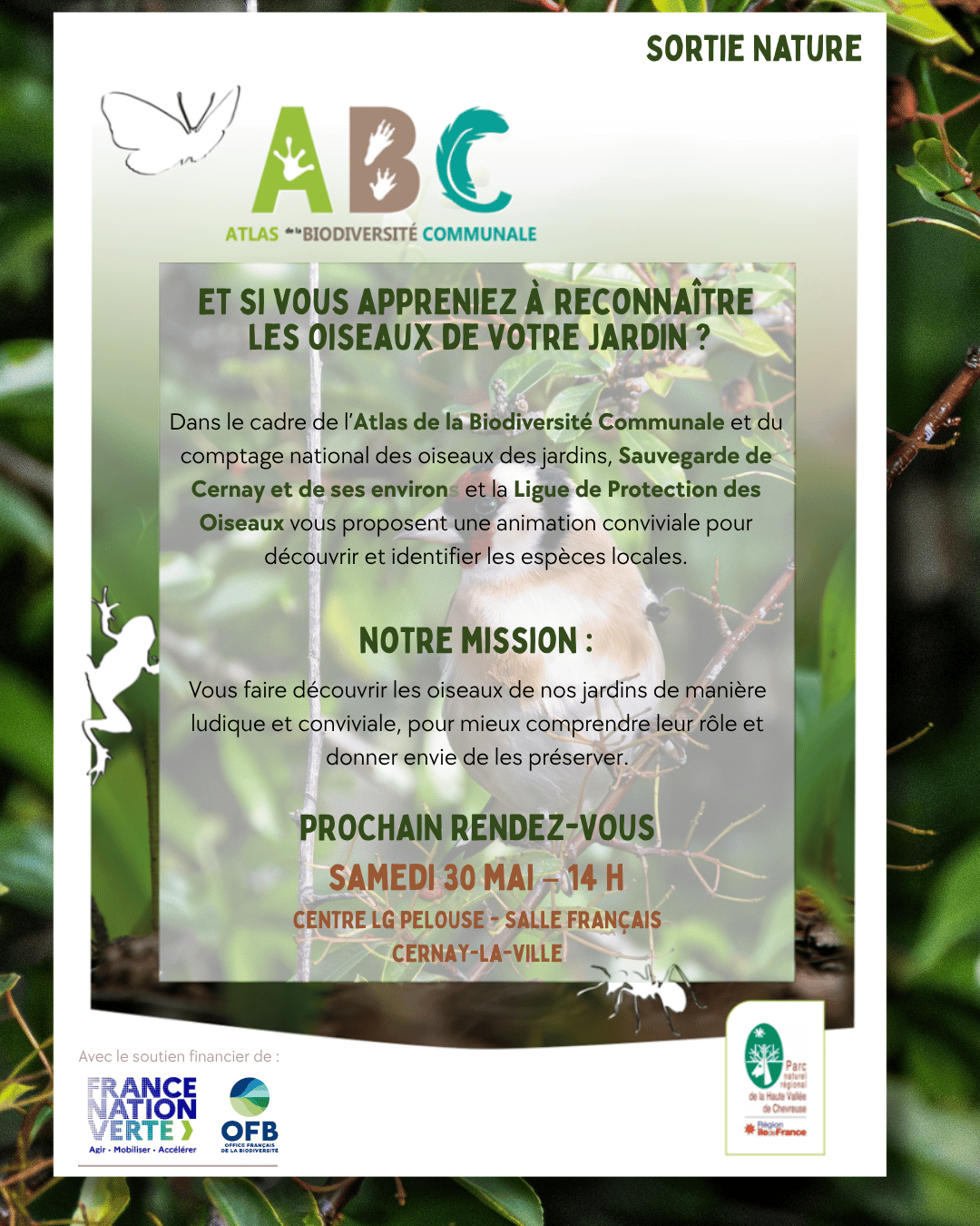 Samedi 30 mai :  À la découverte des oiseaux de nos jardins ! 