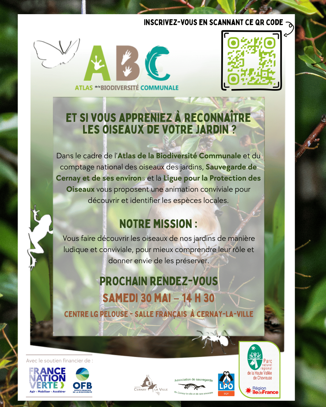 Samedi 30 mai :  À la découverte des oiseaux de nos jardins ! 