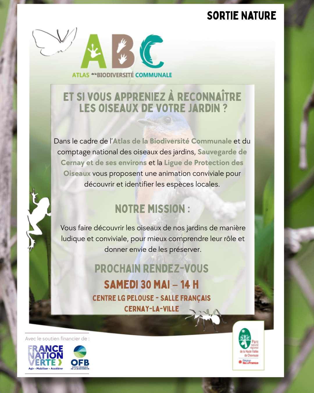 Samedi 30 mai :  À la découverte des oiseaux de nos jardins ! 