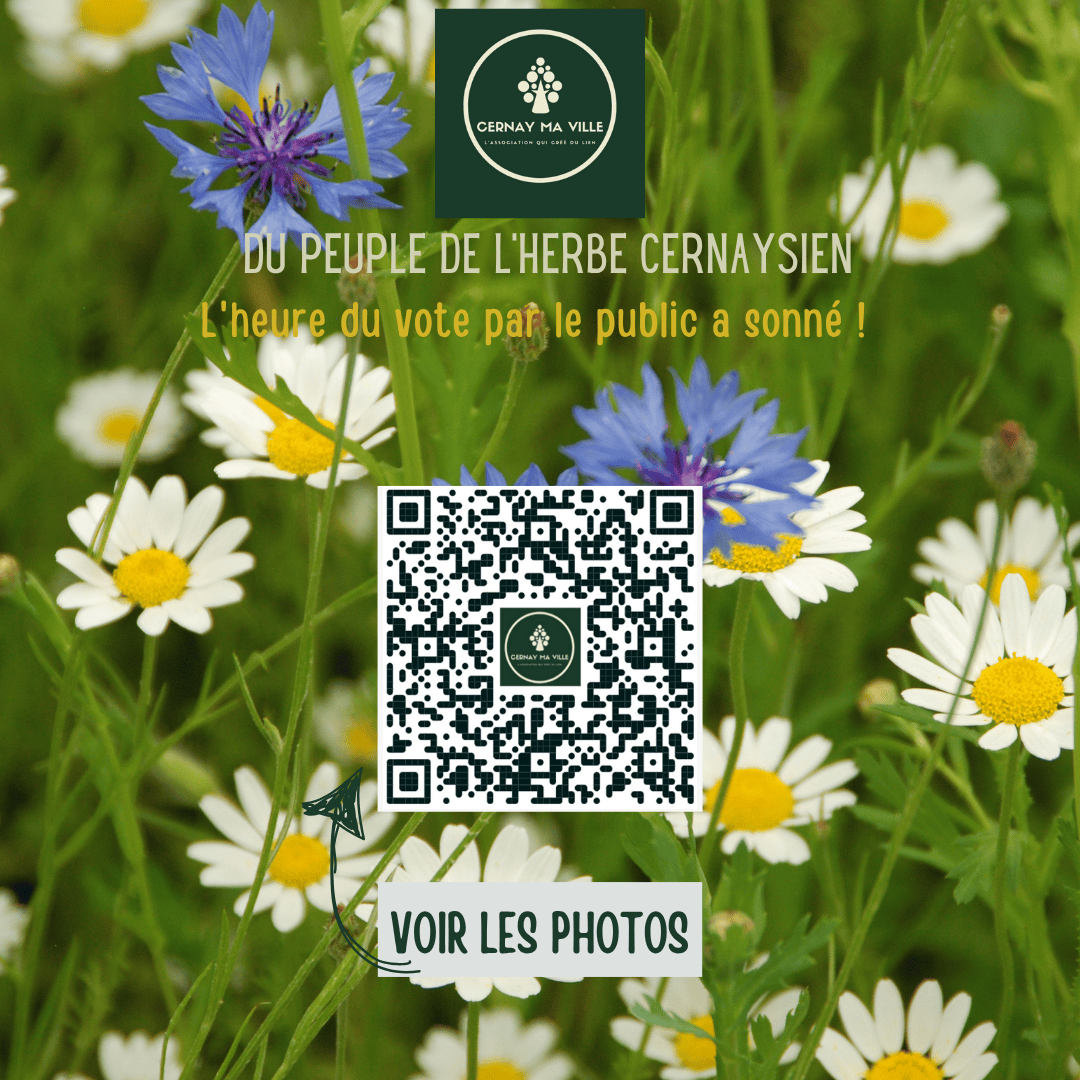 Concours Photo des Écoliers : Découvrez et élisez votre photo favorite !