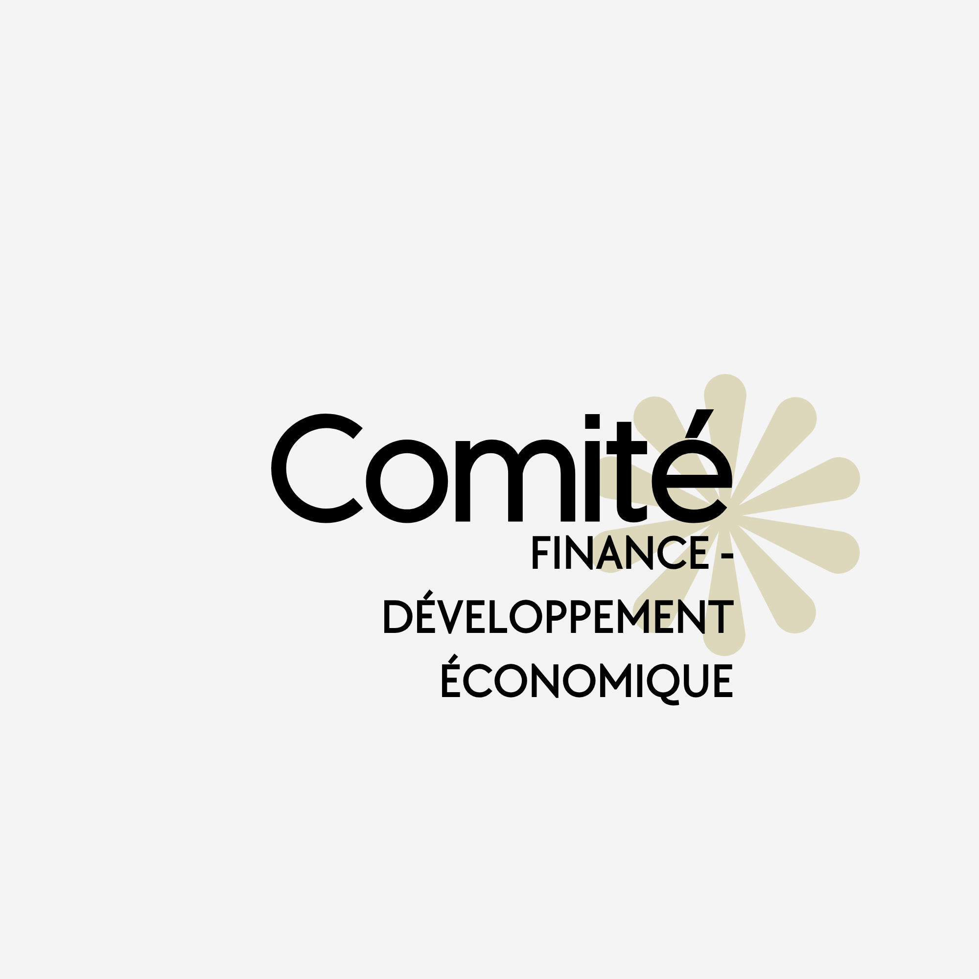 Finance Développement économique