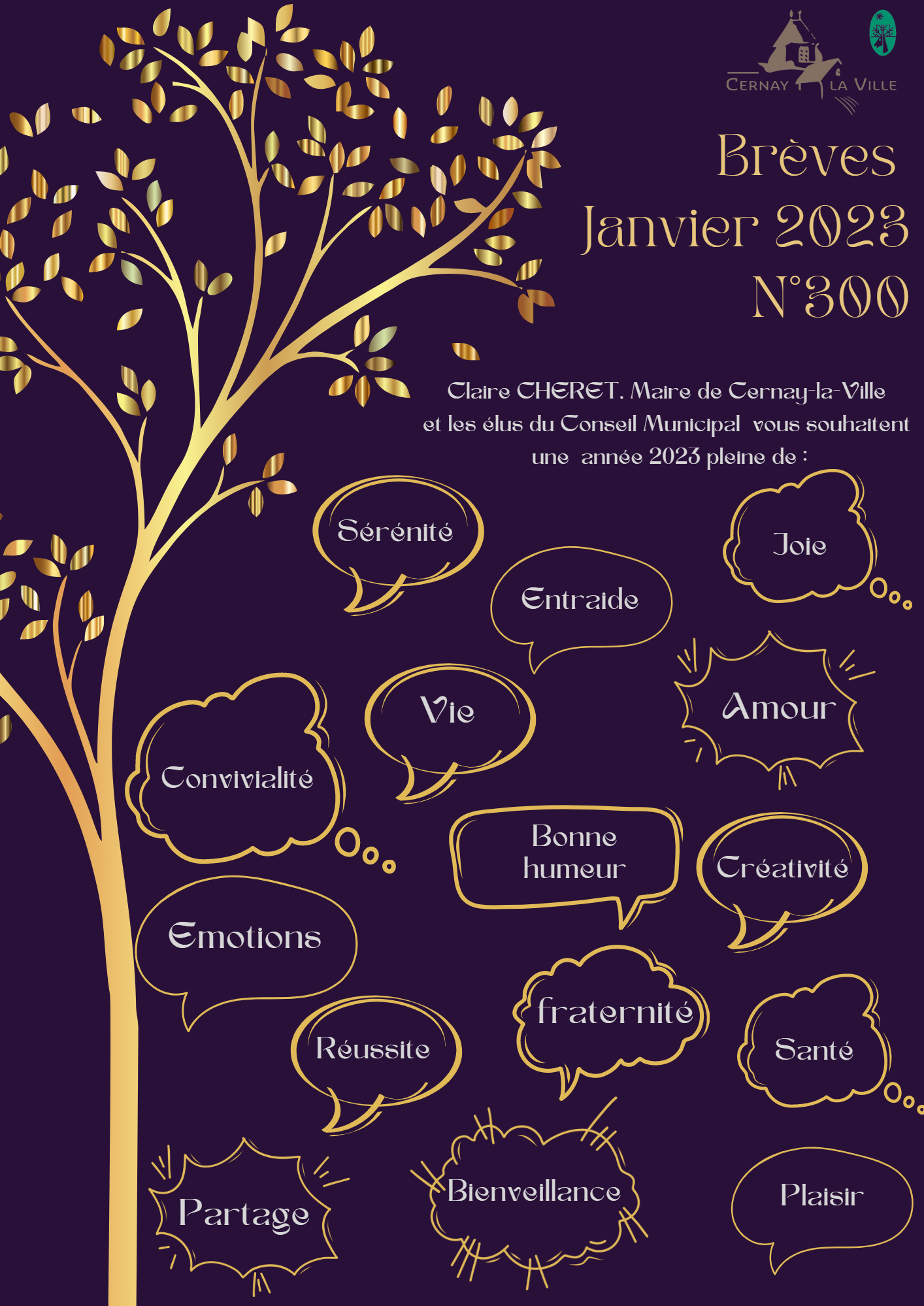 Page de couv Brèves Janvier illiwap