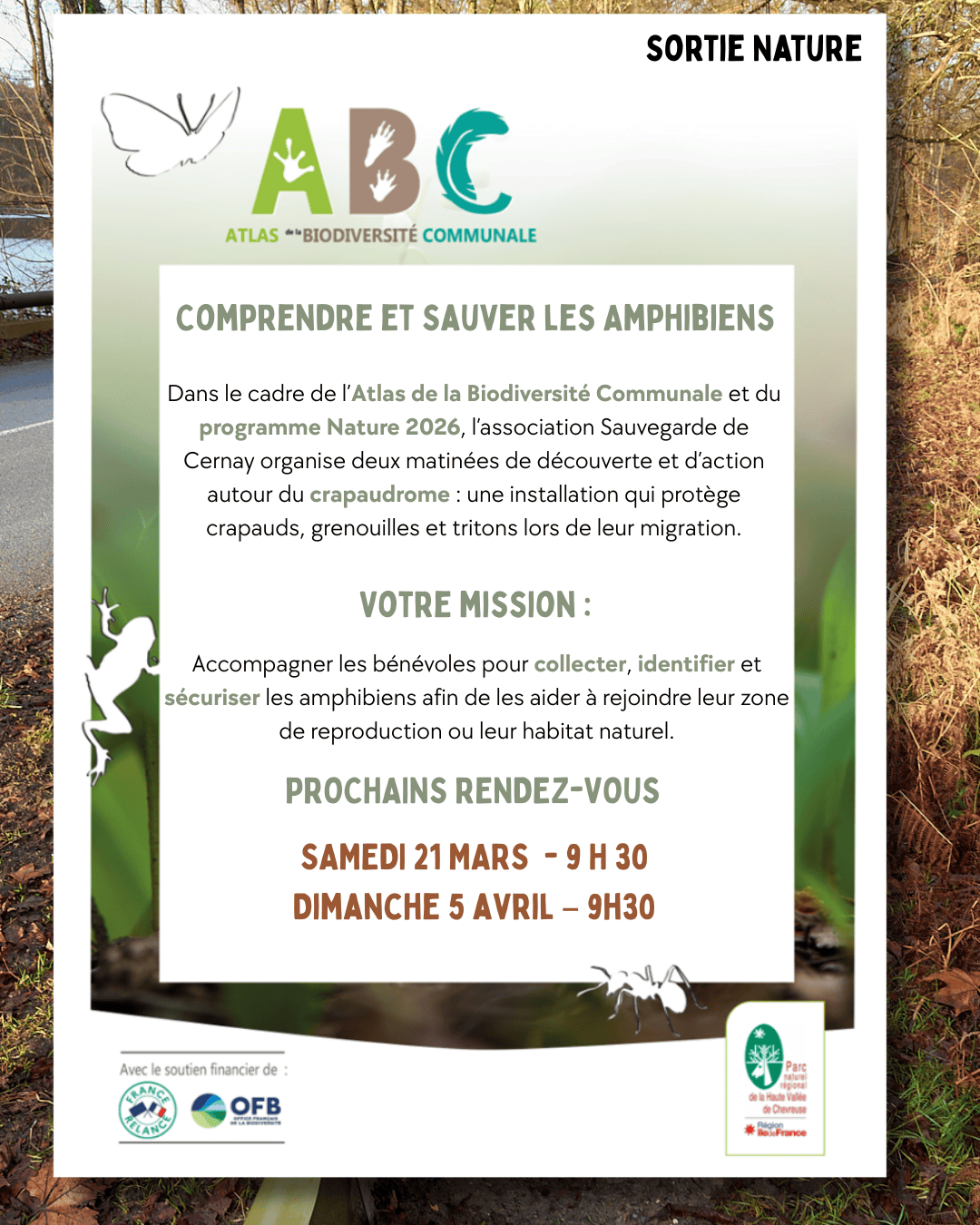 Participez à la sauvegarde des amphibiens !