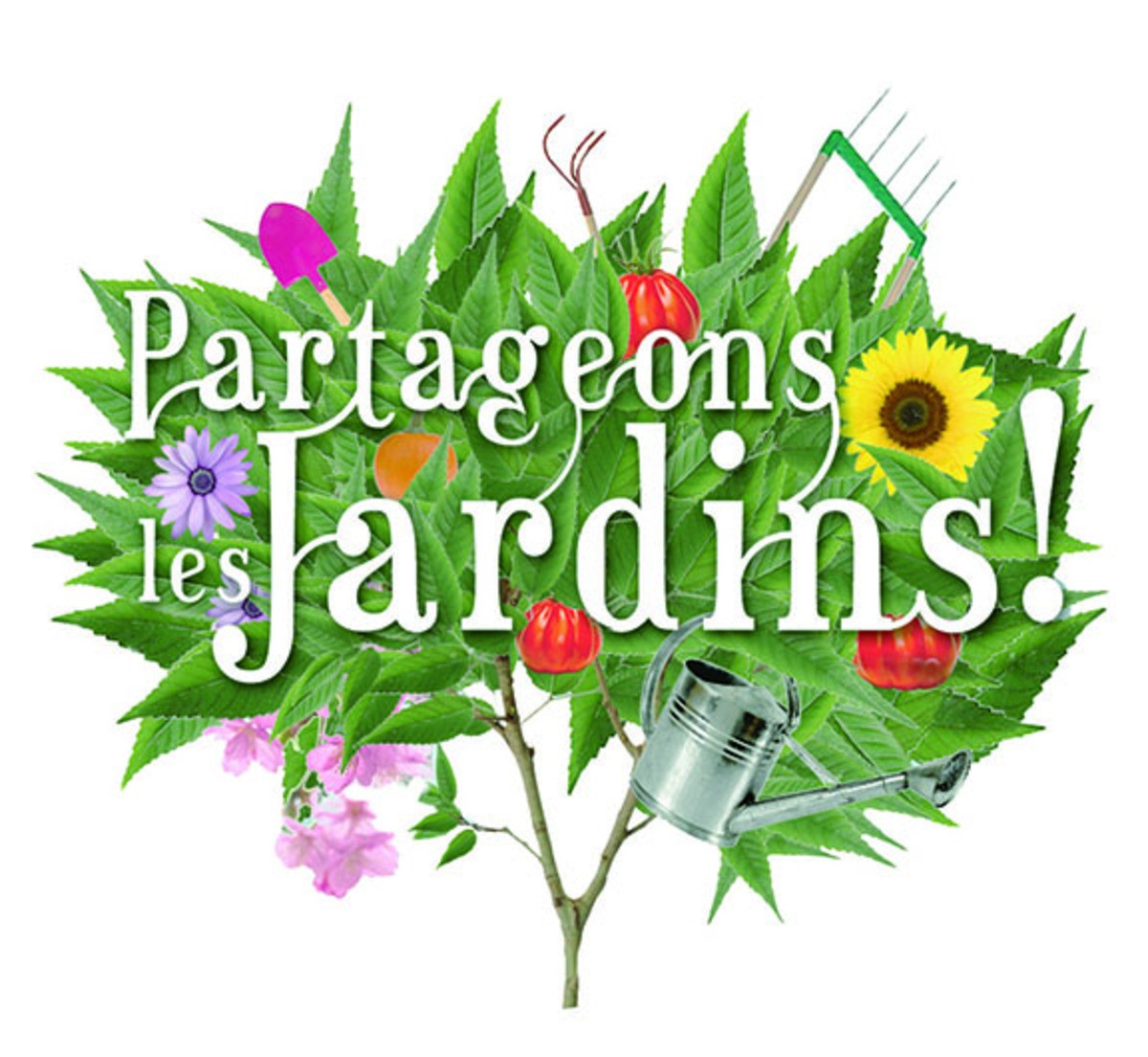 Jardins partagés du presbytère