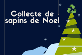 COLLECTE DE SAPINS DE NOËL