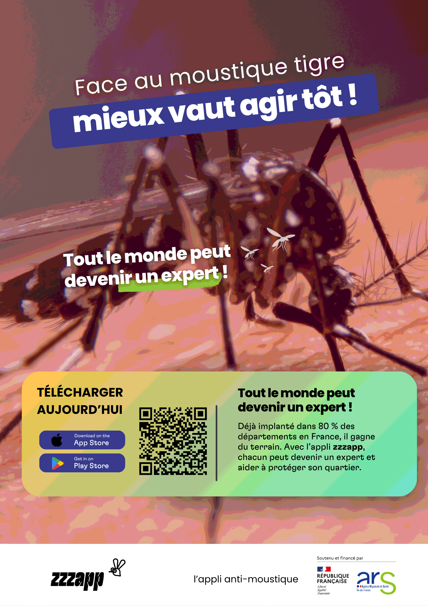 Le moustique tigre : pour lutter efficacement, luttons collectivement !