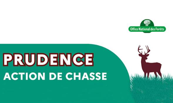Information sur les jours de chasse en forêt de Rambouillet