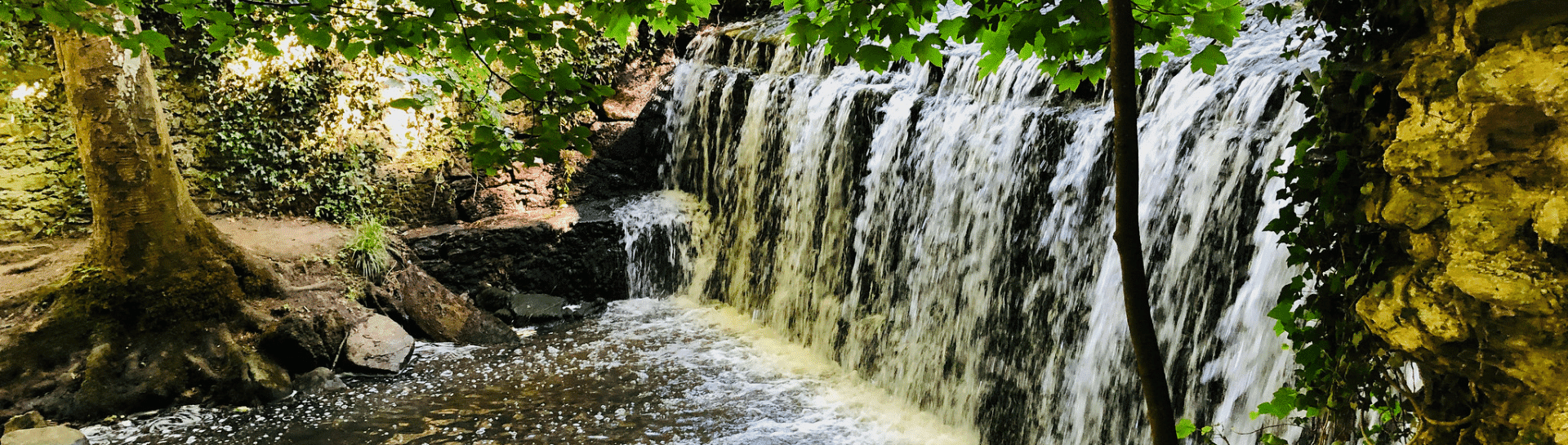 Découvrez Cernay-la-Ville